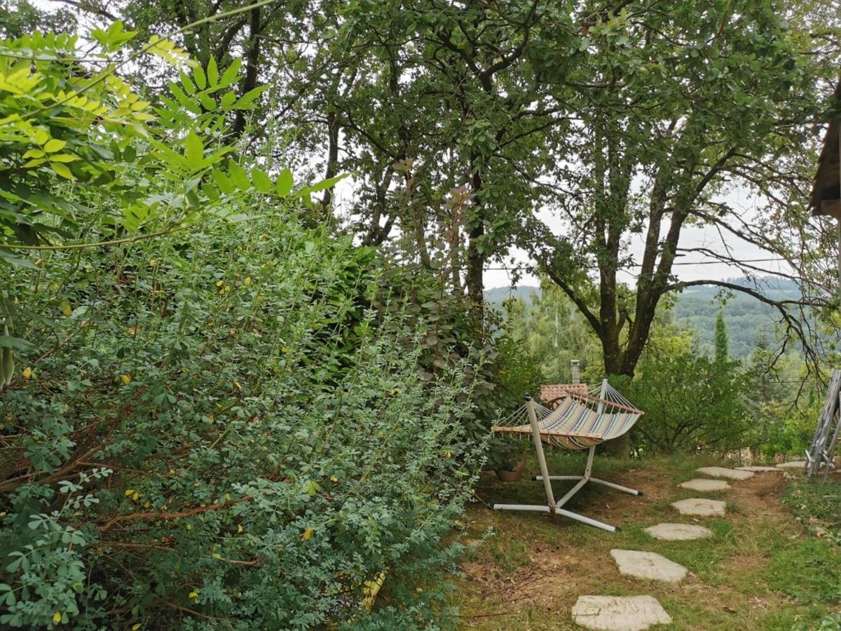 Chambre Chez L'Habitant A La Campagne Sidobre Burlats Dış mekan fotoğraf